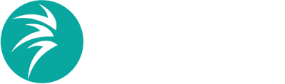Star Wings Travel